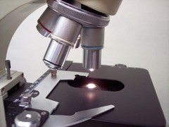 LW Scientific Student Microscope (Please See Description)