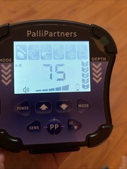 PalliPartners Metal Detector for Adults Waterproof-Professional Higher