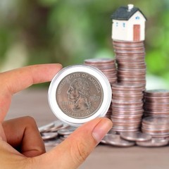 180P Clear Plastic Coin Capsules, Dollar Holder, 40mm 180P, Transparent