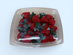 Deli Container Clear 24oz Plastic with/Lid Versa Pak H61WN 250ct