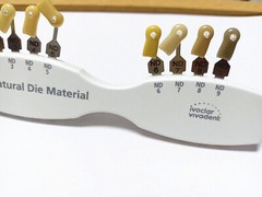 Ivoclar Vivadent Dental Shade Guide A-D 20 IPS or Natural Die ND1-9 Bleach Teeth