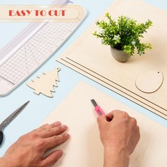 12 Pack Basswood Sheets 12x16x1/8in 3mm Unfinished for Laser Cutting Crafts DIY