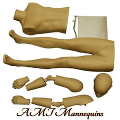 Male Skinton Heavy Duty Mannequin with Flexible Posable Arms + MetalStand MC2-DS