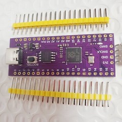 Raspberry Pi Pico RP2040 Dual-Core 264KB USB-C w/ Pin Headers PURPLE ~USA SHIP