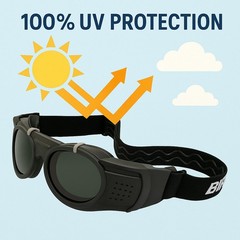 Birdz Eyewear Steam-Punk Motorcycle Goggles Premium Eye Protection with Dark