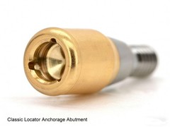 Hiossen ET titanium Locator Abutment Interna Hex Morse Taper Implant Overdenture