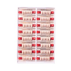 Dental Denture Acrylic Resin Teeth Upper Lower Anterior/Posterior Shade A1/A2/A3