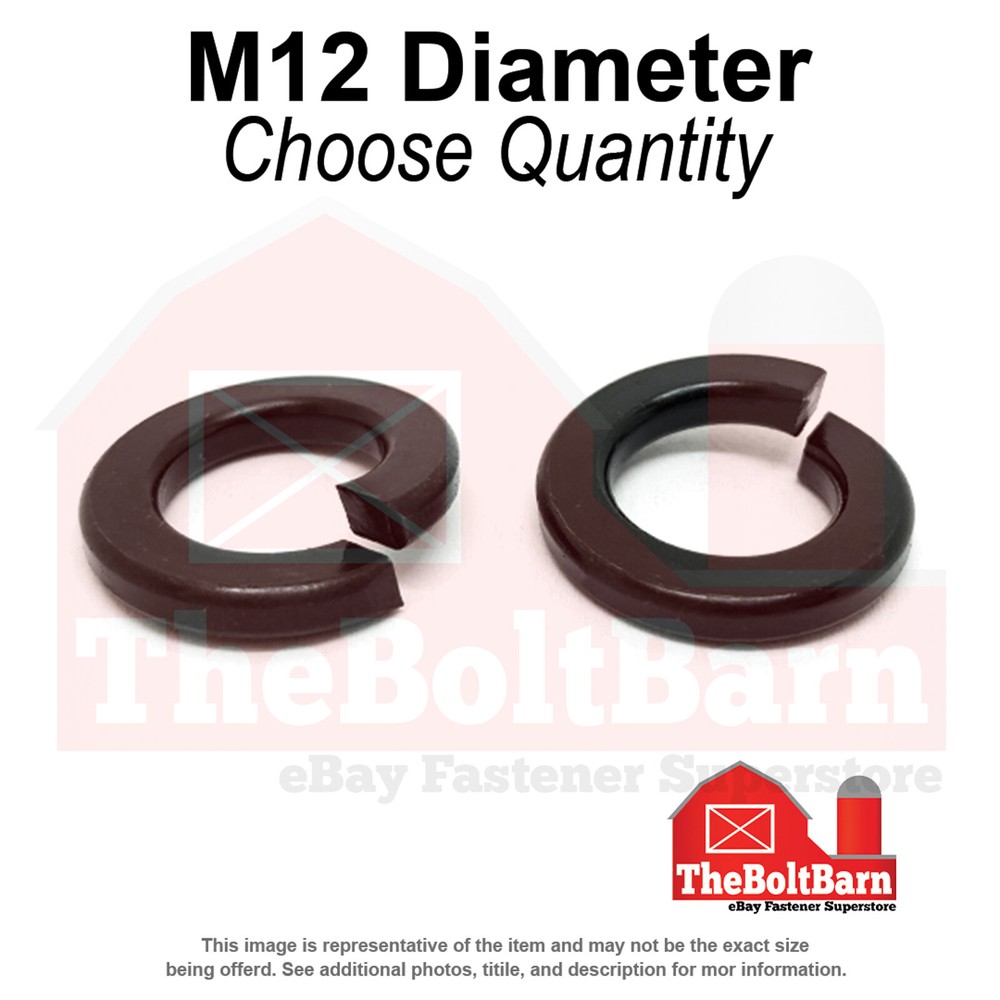 M12 Class 10 Split Lock Washers Plain (Pick Quantity)