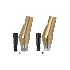Regular 17°Angulated Angled Anatomic Abutment Osstem Hiossen Implants Ø4.5/5.0mm