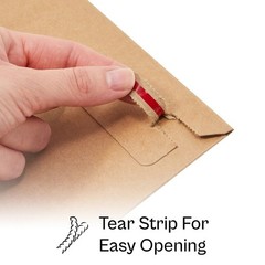 200 Kraft Rigid Photo Document Envelopes 9.75 x 12.25 Self Seal Postal Mailers