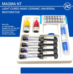 Prevest DenPro Dental Nano Ceramic Universal Restorative Intro Kit Magma NT