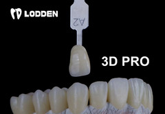 Dental Zirconia Block Porcelain Teeth 3D PRO Multilayer Translucency 98mm Disc
