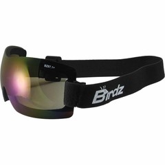 Birdz Wren Skydiving Snowboarding Motorcycle Riding Goggles Blue Mirror Lens