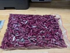500 Pairs of Quality Bulk Earplugs Multiple Colors Available – Free Shipping