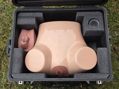 Pro Delphus Surgical Simulator For Urologic Procedures For Male & Female Anatomy