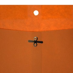 Top Flight Clasp Envelopes, Gummed and Clasped Closure, 6 x 9 One Size, Brown
