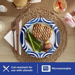 Dixie Ultra, Large Paper Plates, 10 Inch, 100 Count (Pack of 1, White/Indigo
