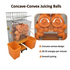 Commercial Orange Juicer Machine 110V Automatic Feeding Lemon Orange Squeezer US