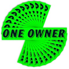 Versa-Tags ONE Owner Windshield Stickers, Chartreuse Green, 12-Pack | Measuri…