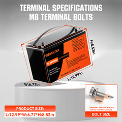12V 100Ah LiFePO4 Lithium Battery BMS Deep Cycle for RV Marine Solar Off-grid