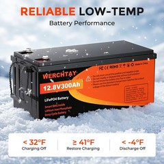 WERCHTAY 12V 300Ah LiFePO4 Battery Deep Cycles 3840Wh 200A BMS for RV Solar Boat
