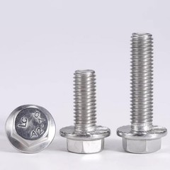 M4 M5 M6 M8-M12 Flanged Hexagon Head Bolts Flange Hex Screws A2 Stainless Steel
