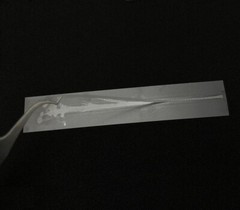 1Piece Dental Composite Flexible Fiber Strip Glass Fiber Splint Ribbond Ribbon