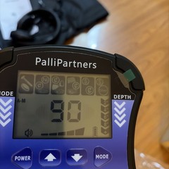 PalliPartners Metal Detector for Adults Waterproof-Professional Higher