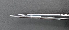 Storz E-3321 Westcott Stitch Scissors, Curved, 4.5″ – Ultrasonically Cleaned