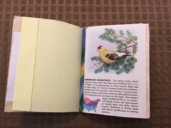 Handmade Naked Junk Journal 5-1/2” x 4-1/4” Mushroom & Leaves Print Cover