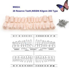 US Dental Overdenture/Implant/Orthodontic Typodont Ortho Training Teaching Model