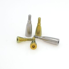 US Dental Healing Abutment & Cover Screw For ITI/Straumann BBone Level Tapered