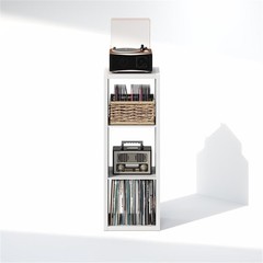 Pemberly Row 3-Cube Vertical Media Storage Organizer in White