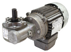 Carpanelli Motors MOT3-M56B4-TROP., 50/60Hz, 0.15HP, 255/440V, 0.77A, 1660RPM
