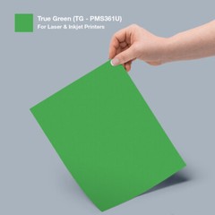Self Sticking Standard Address/Inventory Labels True Green 215-225 Sheets of 30