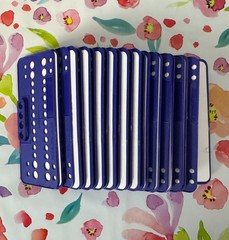 Dental Orthodontic Bracket Trays 25 pcs Ortho Bracket Trays – color – Blue