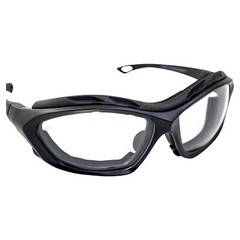 Birdz Eyewear Canopy Padded Motorcycle Sunglasses Riding Safety Glasses ANSI