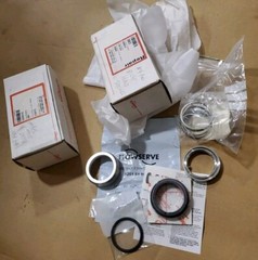 FLOWSERVE 428415 Pump Seal Kit Centipac 152L 45 S17 B04 V86 G30