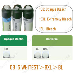 Dental KULZER CHARISMA Diamond OB Light Cure Composite Resin BL BXL Super White