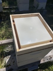 1.5 Gallon Beehive 10 frame Top Feeder Beekeeping. Including 3″ spacer