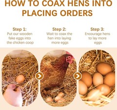 Fake Nest Eggs Wooden Brown Easter Eggs for Craft Get Hens to Lay Eggs 6Pcs