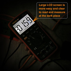 Auto Ranging Digital Multimeter TRMS 6000 AC/DC Volt Amp Ohm Diode Test Leads