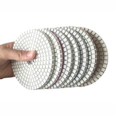 Wet Variable Speed Polisher Kit 4″ Diamond Polishing Pads Convex Sink Pads
