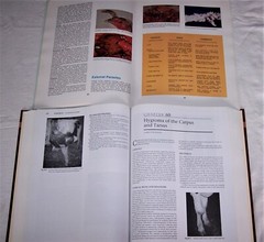 Current Veterinary Therapy: Food Animal Practice & Salsbury Poultry Diseases LOT