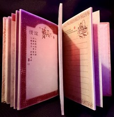 Beautifully Illustrated Chinese Blank Journal CL85301