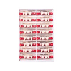 Dental Acrylic Resin Denture Teeth False DIY Full Set Anterior Posterior A1A2A3