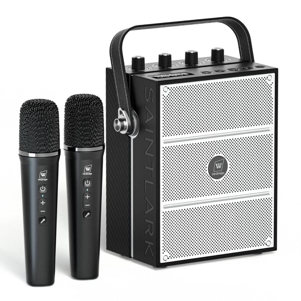 100W Portable Voice Amplifier with 2 Wireless Mics Pro Sound Big Sound Portabl