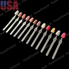 Dental 3D Gum A-D Shade Guide Pink Gingiva Aesthetic Composite Resin Restoration