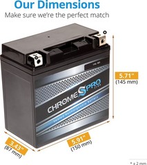 Chrome S Pro YTX14L-BS Maintenance-Free 12V 14Ah Battery Replacement for ATV,…