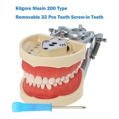Fits for Kilgore NISSIN 200/500 Type Dental Typodont Model With Removable Teeth